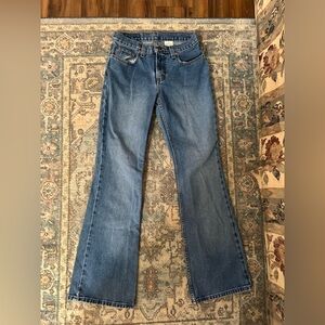 Jordache Women's Flare Jeans in Blue